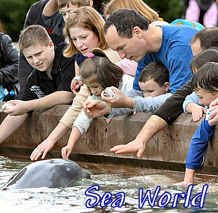 lajolla sea world